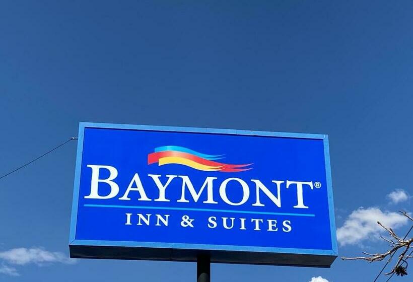 ホテル Baymont Inn By Wyndham Odessa University Area