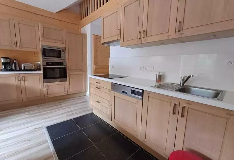 Résidence Récente Au Lioran à Proximité Des Remontées Mécaniques