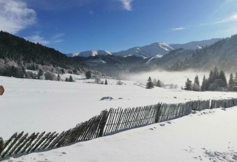 Résidence Récente Au Lioran à Proximité Des Remontées Mécaniques