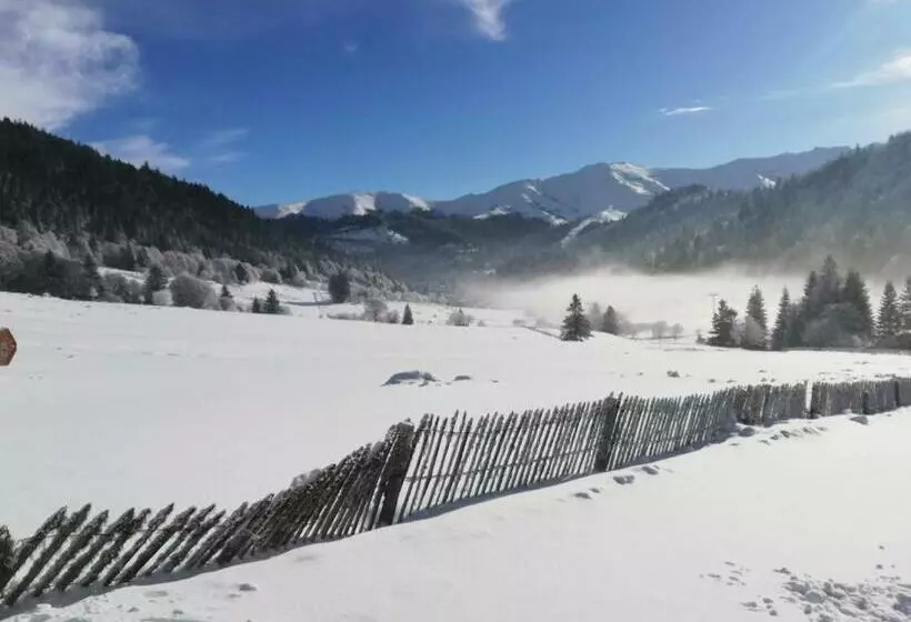 Résidence Récente Au Lioran à Proximité Des Remontées Mécaniques