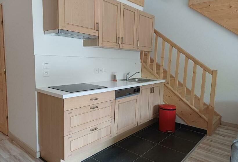 Résidence Récente Au Lioran à Proximité Des Remontées Mécaniques