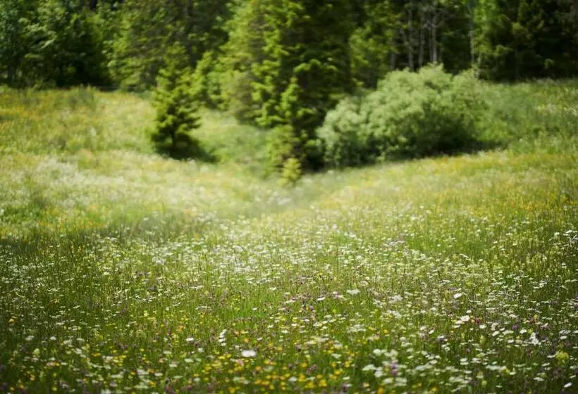 Retkeilymaja Stubn In Der Frasdorfer Hütte