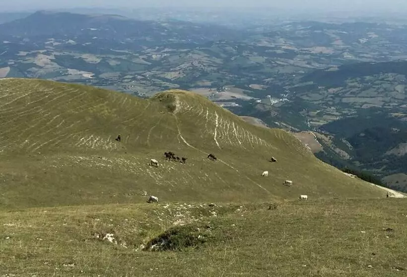 B&b Monte Acuto