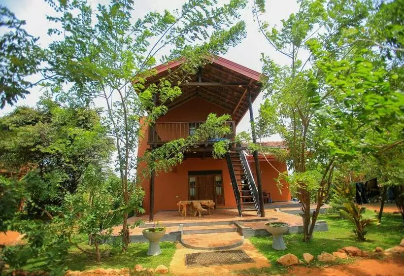 هتل Jungle Hut Resort Sigiriya