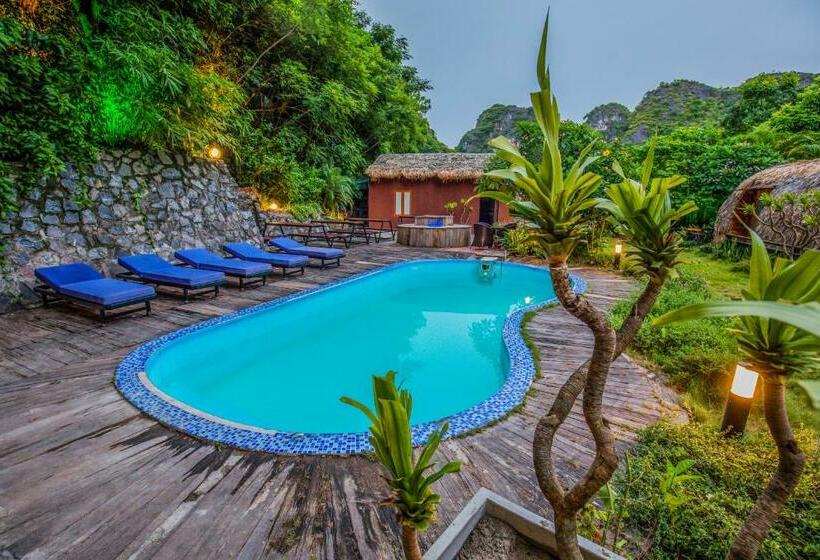 هتل Catba Backpackers Hostel & Pool Bar