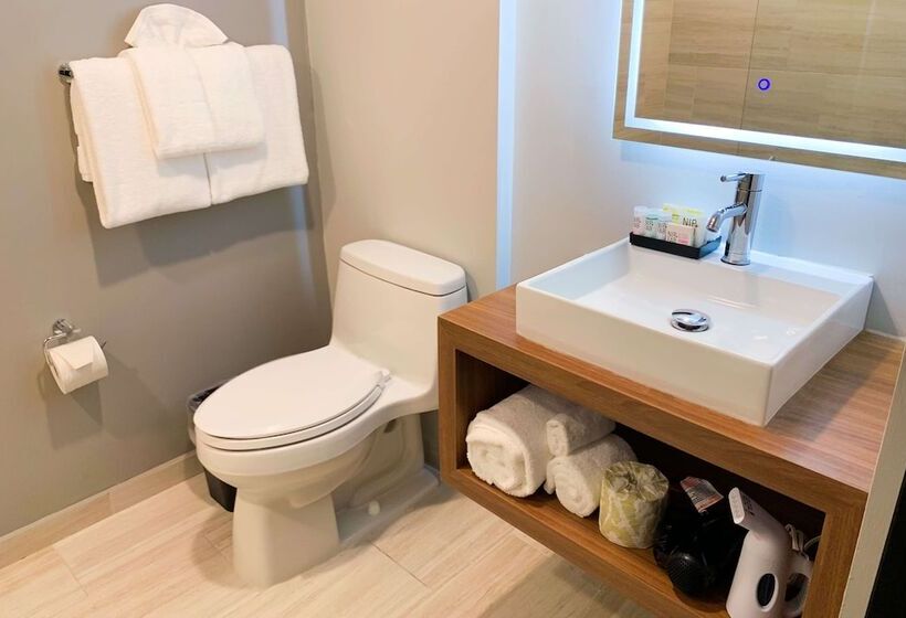 هتل Tryp By Wyndham Mayaguez