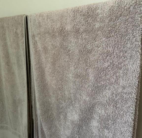 פנסיון Tree Aloe Guest House