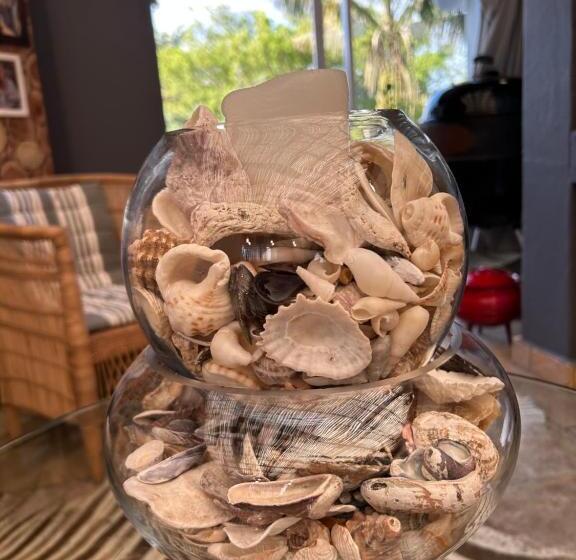 פנסיון Tree Aloe Guest House