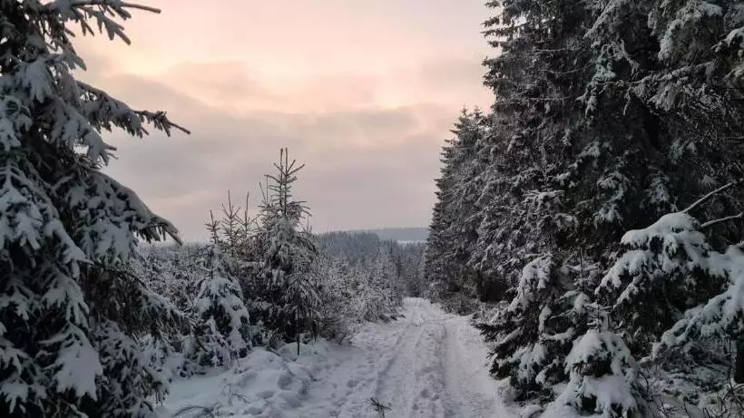 Aamiaismajoitus (B&B) Ferme La Joye