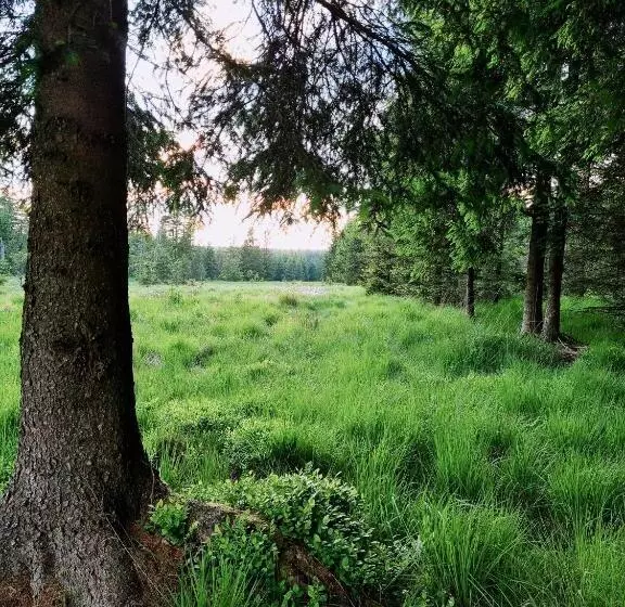 Aamiaismajoitus (B&B) Ferme La Joye