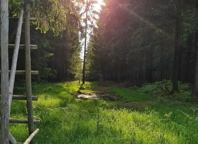 Aamiaismajoitus (B&B) Ferme La Joye