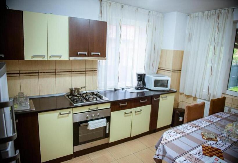 펜션 Popasul Drumețului Transfăgărășan