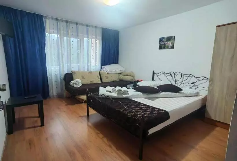 ペンション Popasul Drumețului Transfăgărășan