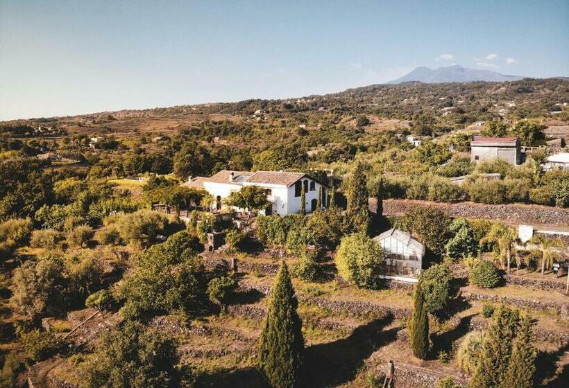 Bed And Breakfast Etnalodge