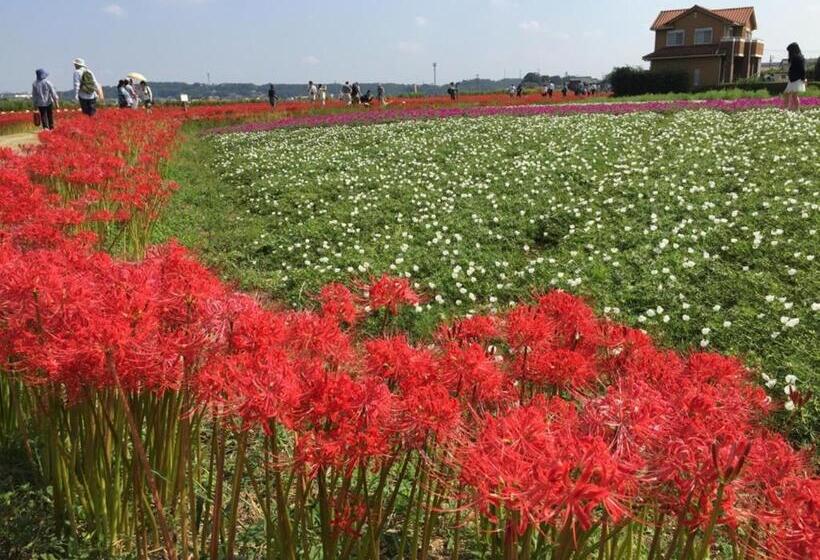 فندق Az Inn Handa Inter   Vacation Stay 69377v