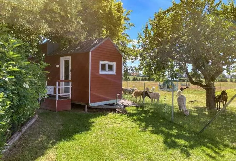 ホテル Tiny House Auf Der Alpaka Farm