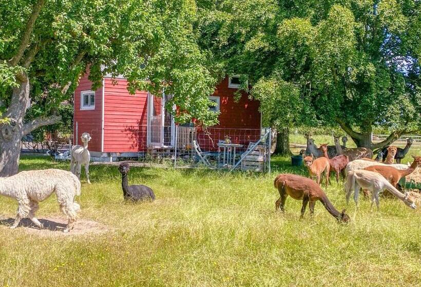 Отель Tiny House Auf Der Alpaka Farm