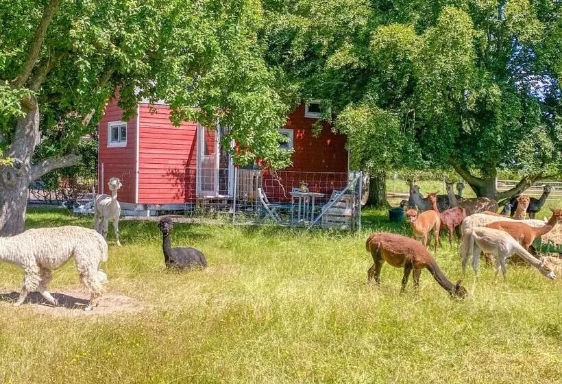 ホテル Tiny House Auf Der Alpaka Farm