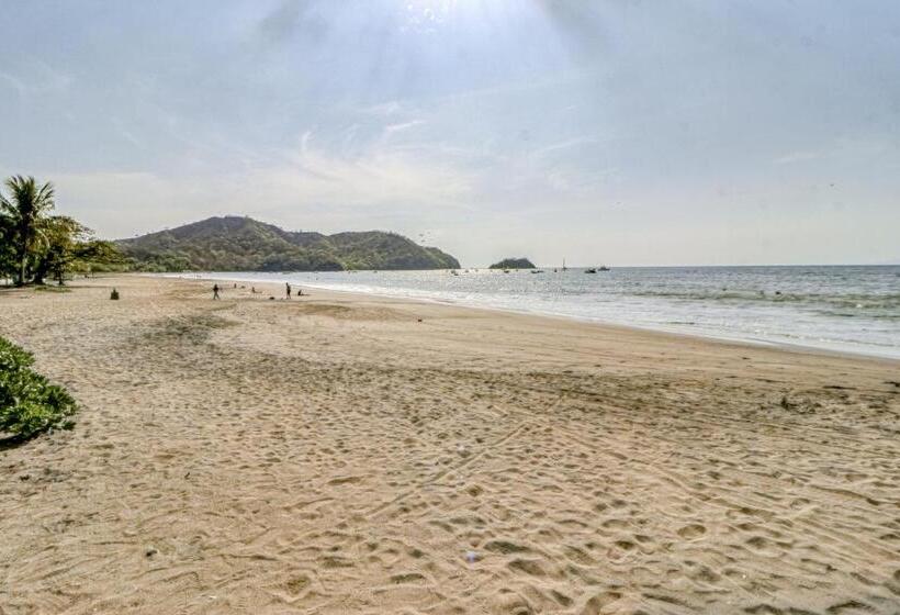 هتل Dulce La Colina 8002