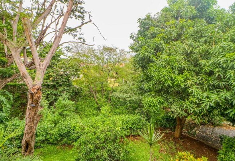 هتل Dulce La Colina 8002