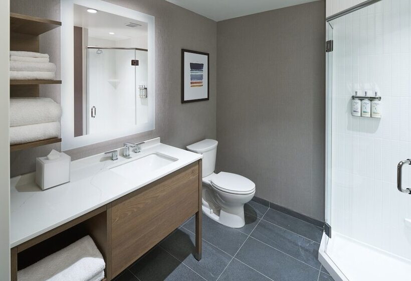 בית מלון כפרי Staybridge Suites Wilmington Downtown, An Ihg