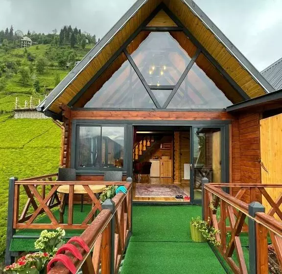 ホテル Zifona Bungalov