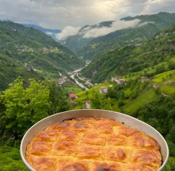 ホテル Zifona Bungalov