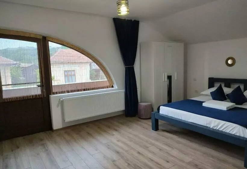 ペンション Dania&petru Residence