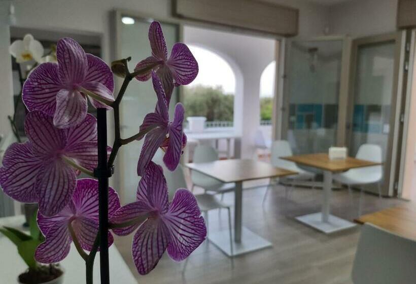 Shekhinah Bed And Breakfast Home Restaurant