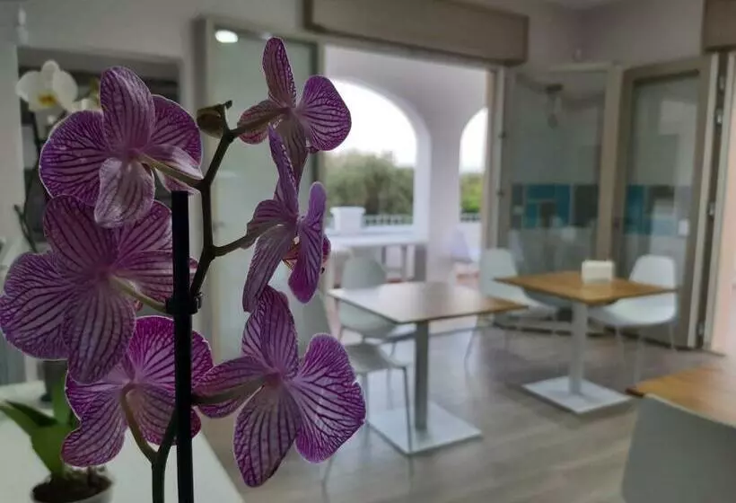 Shekhinah Bed And Breakfast Home Restaurant