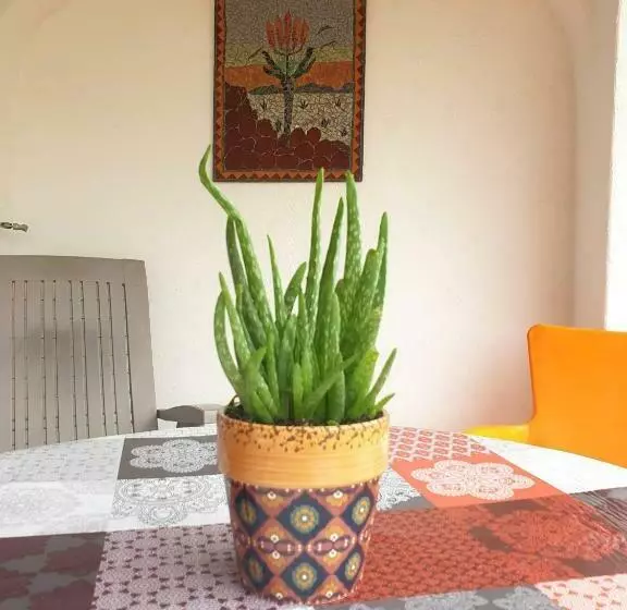 Sondela Self Catering