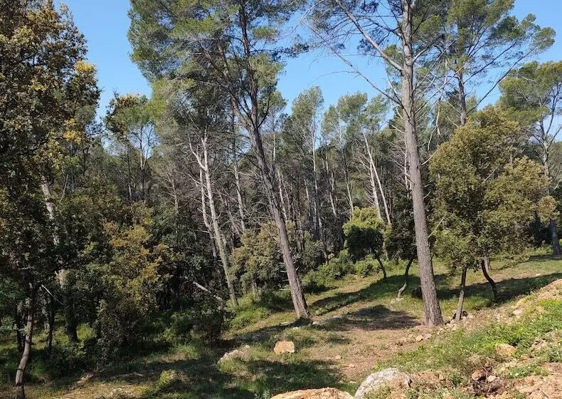 Aamiaismajoitus (B&B) Les Hauts Du Peireguier