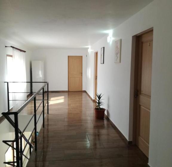 Пансион Casa Adelin