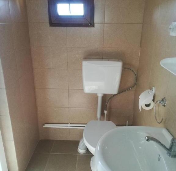 Пансион Casa Adelin