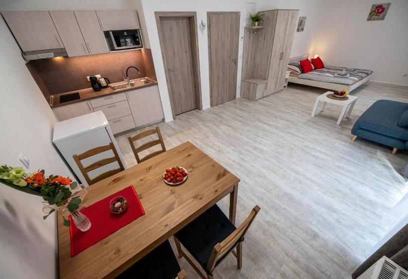 פנסיון Penzion Kamenný Dvůr