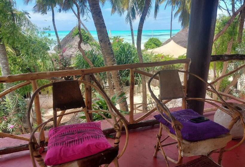 بنسيون Jacob S Inn Jambiani