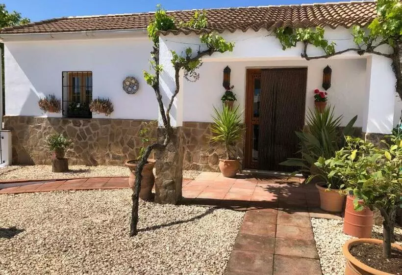 Aamiaismajoitus (B&B) Casa La Alegria 37