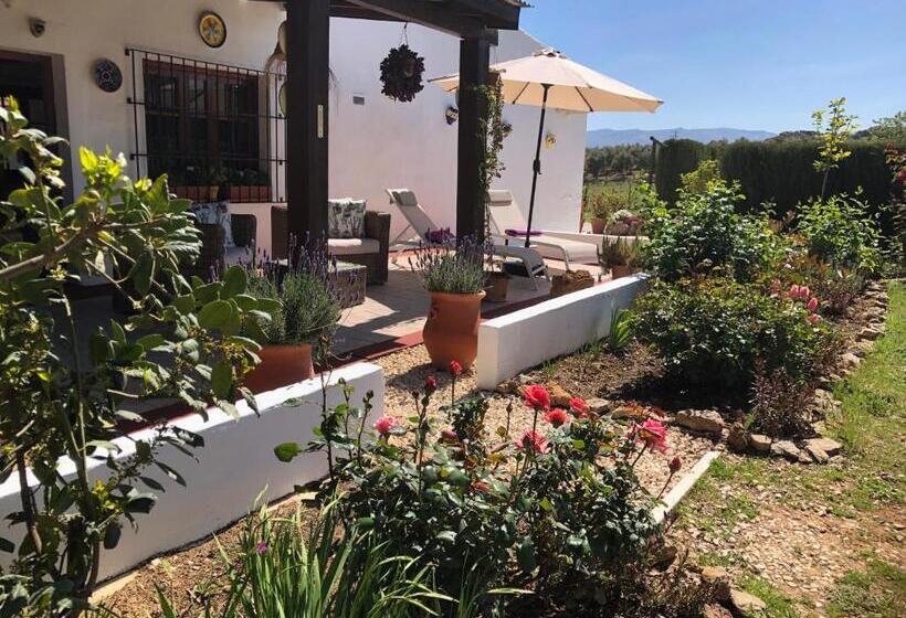 צימר Casa La Alegria 37