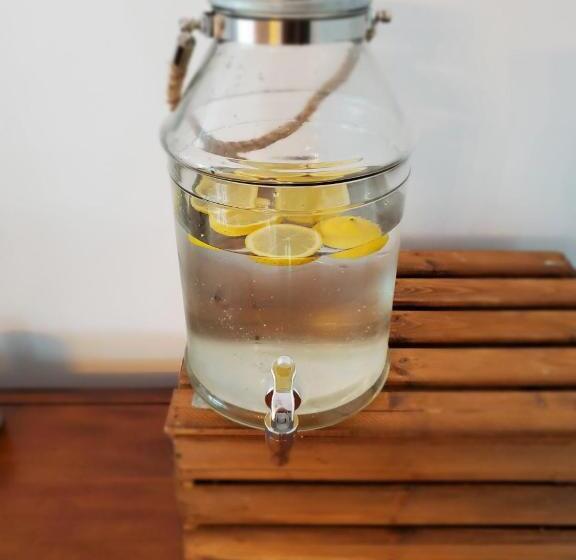 La Gentilhommière Motel Et Suites B Vue Sur Mer