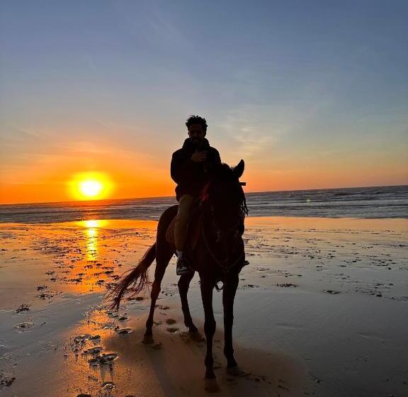 客栈  Atlantis 12, Maison d'hôtes et d'art