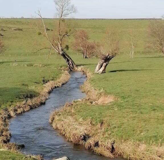 פנסיון Gite Fée Grenouille