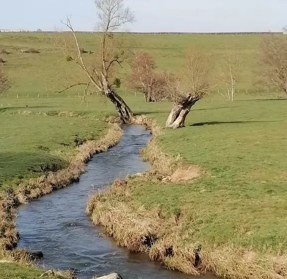 Majatalo Gite Fée Grenouille