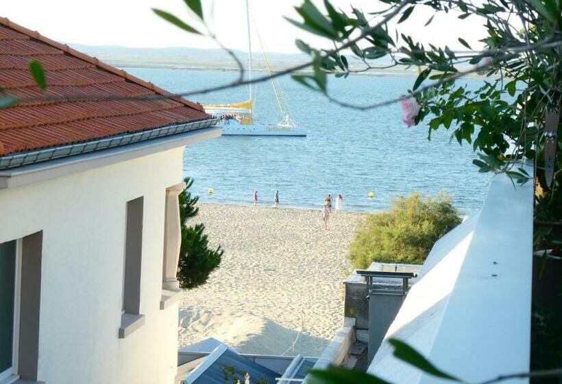 Appartement Hyper Centre Arcachon