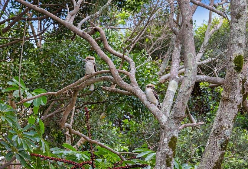 Murphys In Kingscliff Tweed Coast Holidays