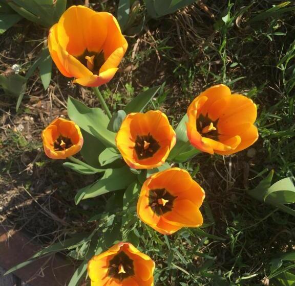 Bed and Breakfast Belle Chambre Avec Vue Dans Maison D Architecte