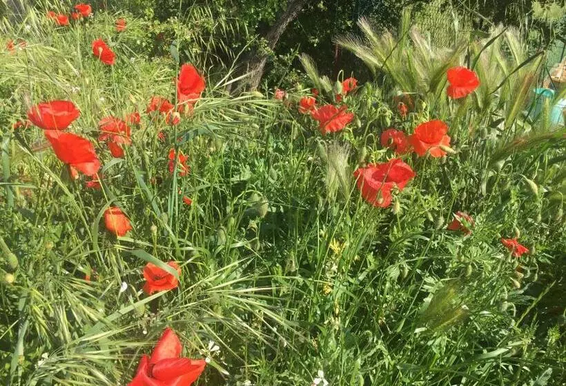 Aamiaismajoitus (B&B) Belle Chambre Avec Vue Dans Maison D Architecte