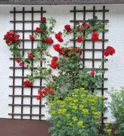 پانسیون Vrtnarjeva Hiša, The Gardener S Cottage