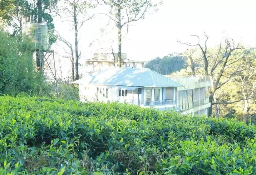 The Nirvana Resort Munnar