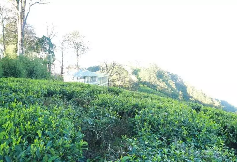The Nirvana Resort Munnar