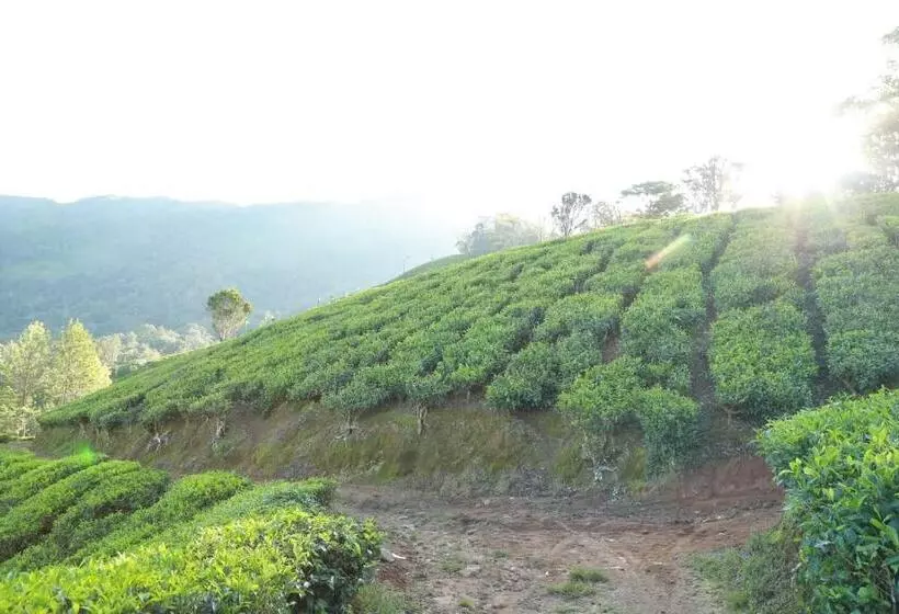 The Nirvana Resort Munnar